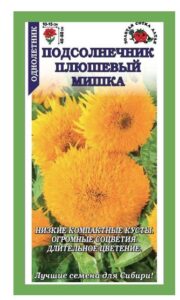 Подсолнечник Плюшевый мишка