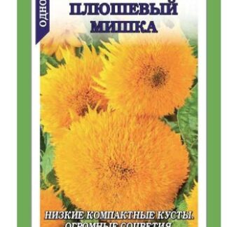 Подсолнечник Плюшевый мишка