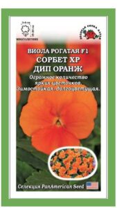 Виола Сорбет Дип Оранж