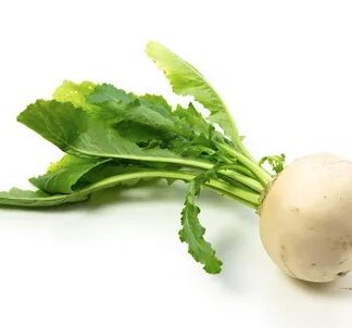 репа, редька