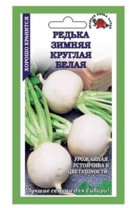Редька Белая круглая зимняя