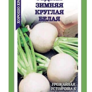 Редька Белая круглая зимняя