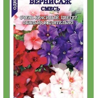 Флокс Вернисаж