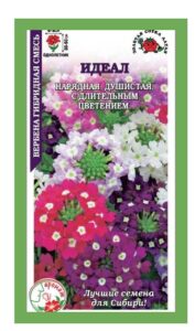 Вербена Идеал