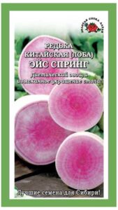 Редька Эйс Спринг лоба