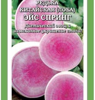 Редька Эйс Спринг лоба