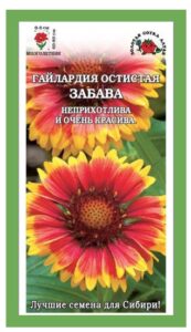 Гайлардия Забава