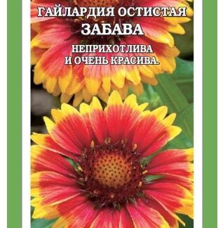 Гайлардия Забава