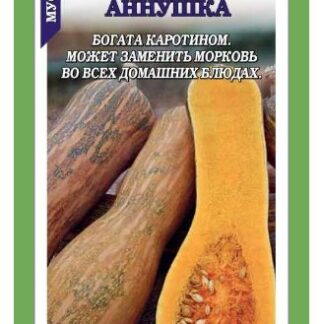 Тыква Аннушка мускатная