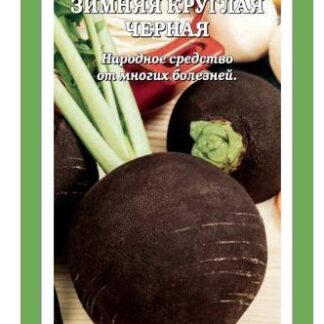 Редька Черная