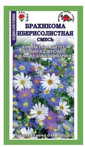 Брахикома Иберисолистная смесь