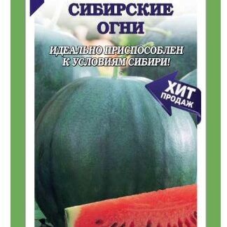 Арбуз Сибирские огни