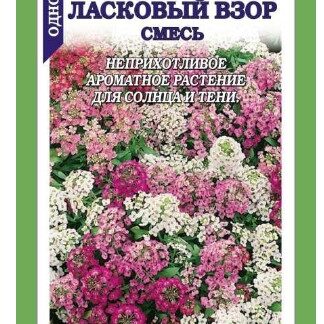 Алиссум Ласковый взор смесь