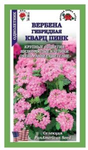 Вербена Кварц Пинк