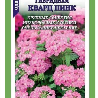 Вербена Кварц Пинк