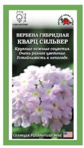 Вербена Кварц Сильвер