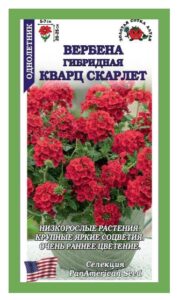 Вербена Кварц Скарлет