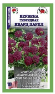 Вербена Кварц Парпл