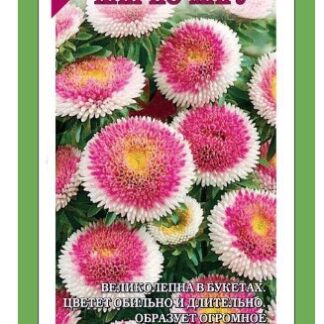 Астра Хай но мару