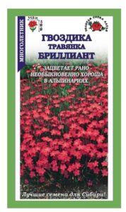 Гвоздика Бриллиант травянка