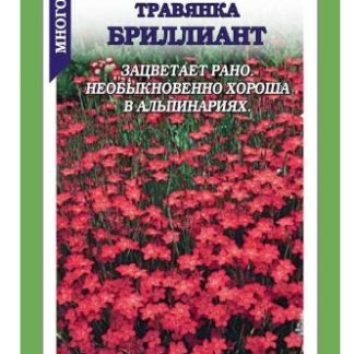 Гвоздика Бриллиант травянка