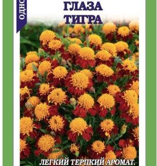Бархатцы Глаза тигра