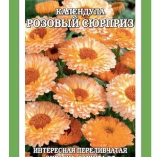 Календула Розовый сюрприз