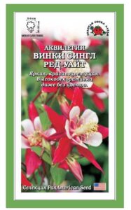 Аквилегия Винки Сингл Ред-Уайт