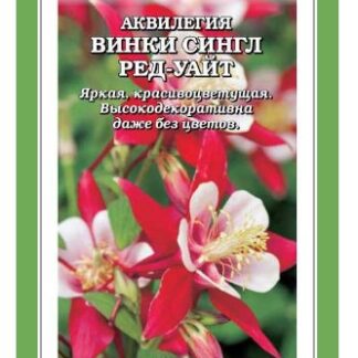 Аквилегия Винки Сингл Ред-Уайт