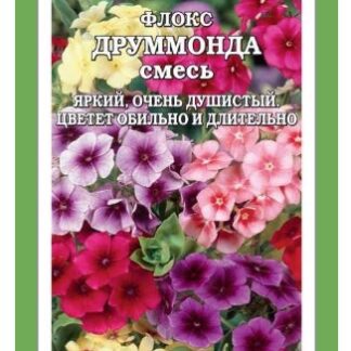 Флокс Друммонда смесь