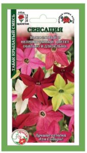 Табак Сенсация крылатый