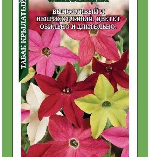 Табак Сенсация крылатый