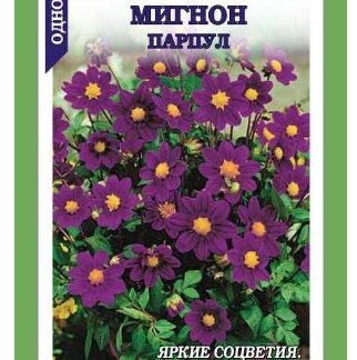 Георгина Мигнон Парпул