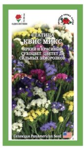 Статица Квис Микс