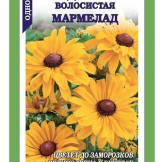 Рудбекия Мармелад