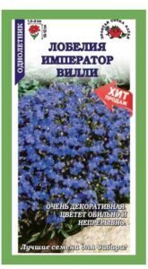 Лобелия Император Вилли