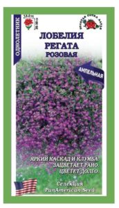 Лобелия Регата Розовая ампельная