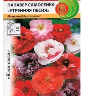 Папавер Утренняя песня самосейка “Русский огород”