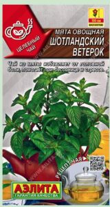 Мята овощная Шотландский ветерок