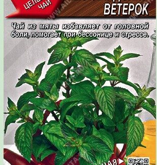 Мята овощная Шотландский ветерок