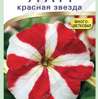 Петуния Ура F1 красная звезда