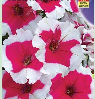 Петуния Пикоти Роза F1 многоцветковая