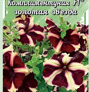 Петуния Комплиментуния F1 золотая звезда