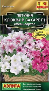 Петуния Клюква в сахаре F1 крупноцветковая, смесь сортов
