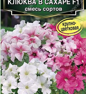 Петуния Клюква в сахаре F1 крупноцветковая, смесь сортов