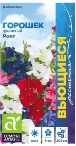 ДУШИСТЫЙ ГОРОШЕК РОЯЛ СМЕСЬ