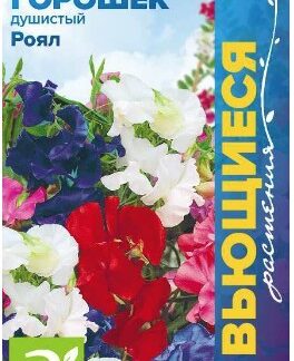 ДУШИСТЫЙ ГОРОШЕК РОЯЛ СМЕСЬ