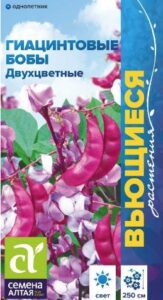 ГИАЦИНТОВЫЕ БОБЫ ДВУХЦВЕТНЫЕ