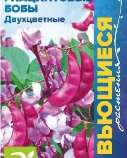 ГИАЦИНТОВЫЕ БОБЫ ДВУХЦВЕТНЫЕ