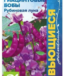 ГИАЦИНТОВЫЕ БОБЫ РУБИНОВАЯ ЛУНА